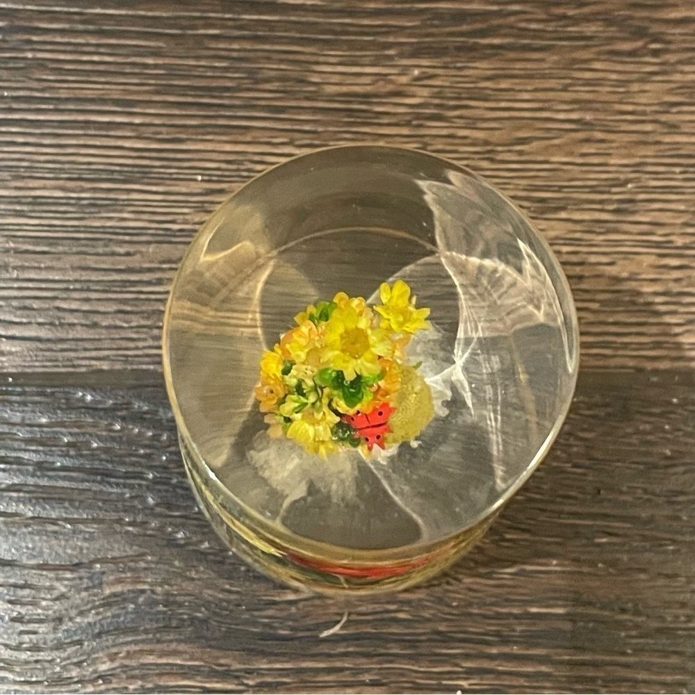 Vintage Daisyglas Company 50s/60s MCM Lucite/Acrylic Floral/Ladybug Paperweight - Picture 7 of 8